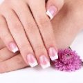 Pink and While Fill-in