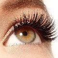 Eyelash
